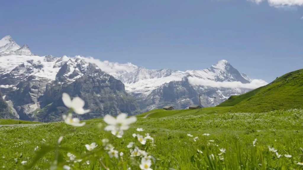 高清壁纸电脑全屏风景 唯美风景图片电脑壁纸