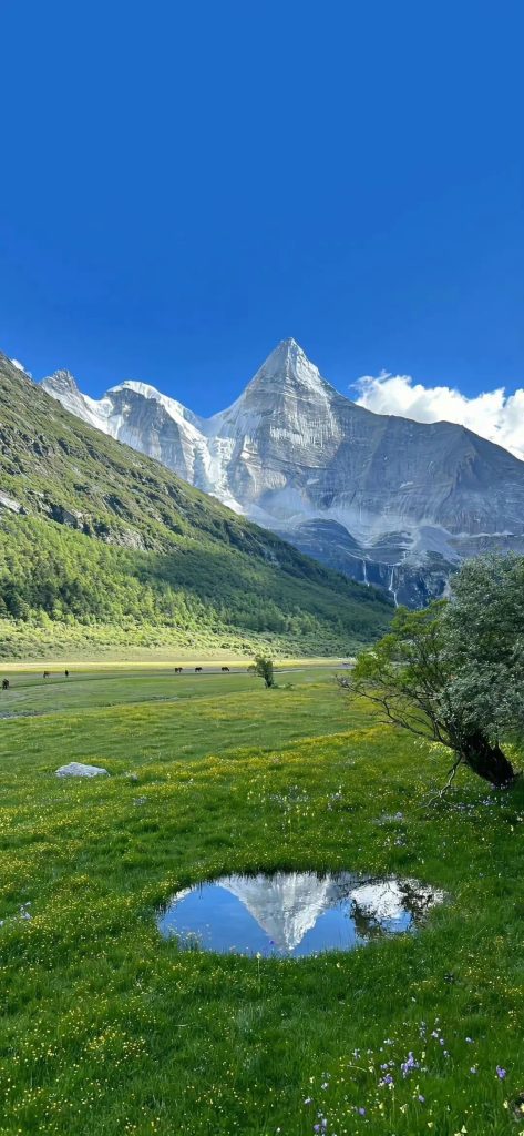 绿色山水风景壁纸高清手机竖屏无水印图片