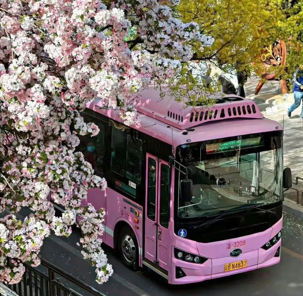 让人眼前一亮的背景图风景 4月淡雅小清新风景图片