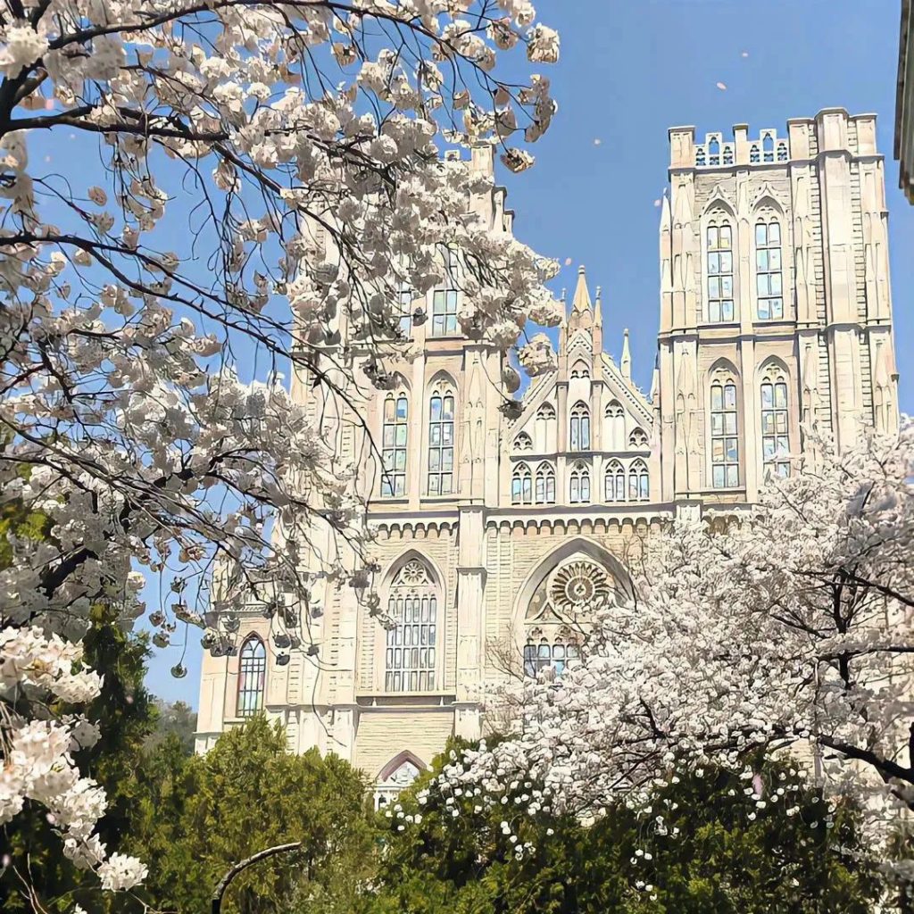 让人眼前一亮的背景图风景 4月淡雅小清新风景图片