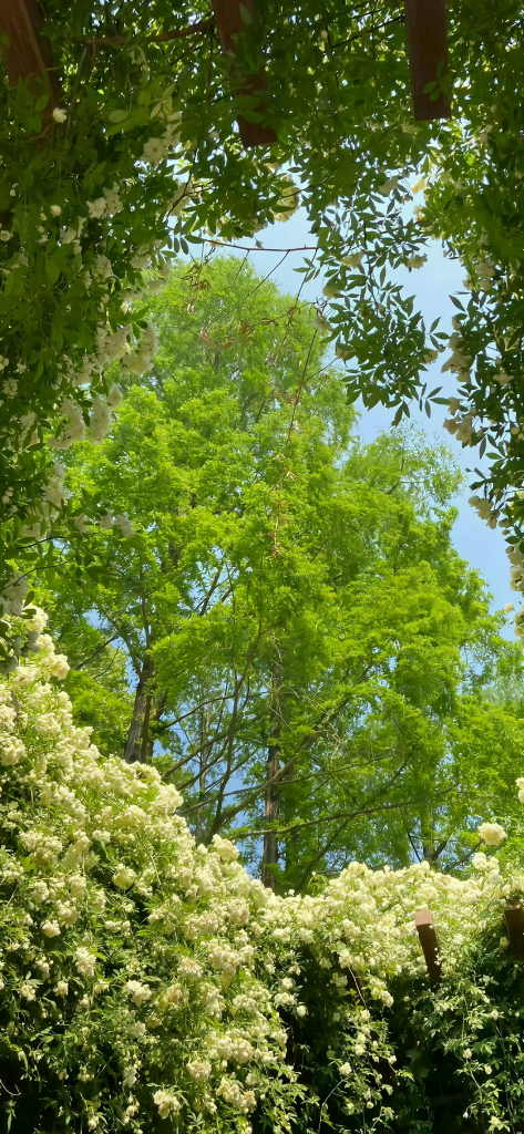 让人眼前一亮的风景图片素材 9张美到极致的风景图